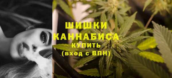 меф Пересвет
