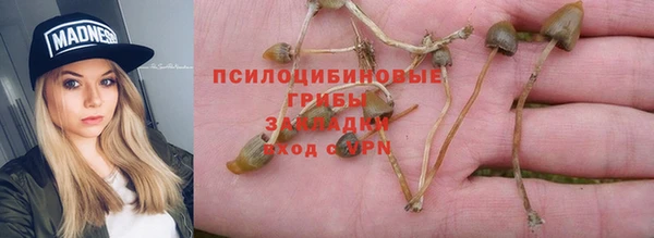 мет Дедовск