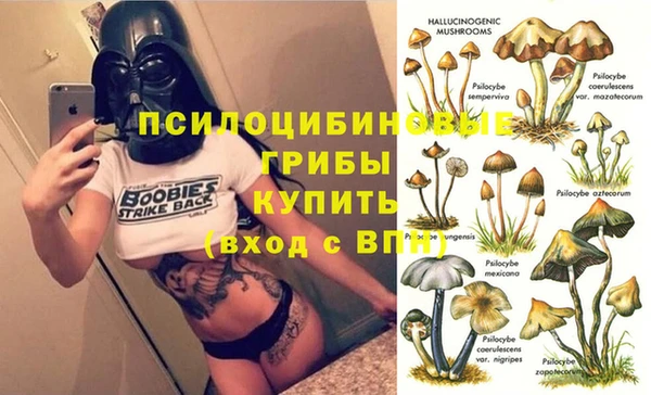 меф Пересвет
