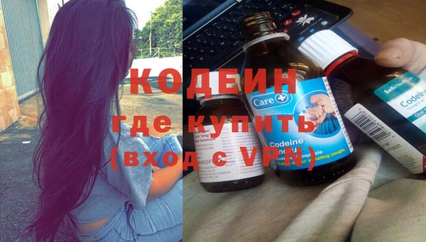 ПСИЛОЦИБИНОВЫЕ ГРИБЫ Осинники