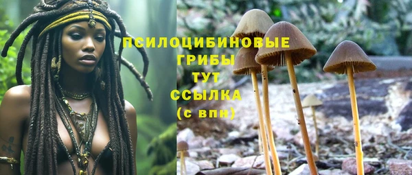 герыч Переславль-Залесский